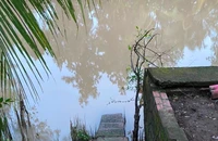 Khu vực sông Rạch Múc