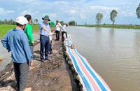 Đồng Tháp: Chủ động gia cố đê bao trước tình hình mưa lũ và triều cường