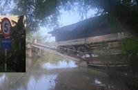 Ô tô tải chở gạo làm sập cầu ở Đồng Tháp