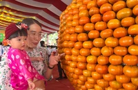 Đặc sắc Lễ hội quýt hồng Lai Vung, Đồng Tháp