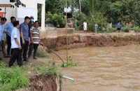  Cần 400 tỉ để xây kè chống sạt lở ở Đồng Tháp