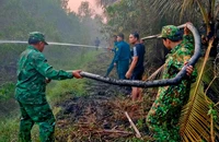 Đốt gốc rạ, cháy sang rừng tràm 
