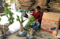 Đồng Tháp bảo tồn 16 làng nghề có nguy cơ mai một