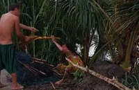 Công an xác minh clip chồng đánh vợ giữa đường ở Vĩnh Long