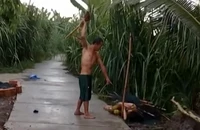 Bắt người đàn ông ở Vĩnh Long đánh vợ giữa đường