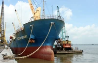 Cần Thơ quy hoạch ba cụm bến cảng, logistics trọng điểm
