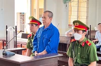 Con chó cắn chết con vịt, chủ vịt thành kẻ giết người