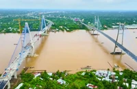 Thủ tướng Phạm Minh Chính dự lễ hợp long cầu Mỹ Thuận 2