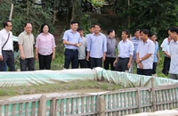  Đồng Tháp: Sắp diễn ra ngày hội Hội quán Đất Sen hồng
