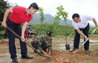 Agribank khu vực Tây Nam bộ tặng cây giống cho bà con Quảng Nam