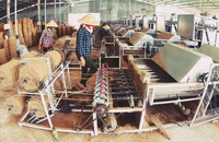 Doanh nghiệp sản xuất sơ dừa tại Trà Vinh được sự hỗ trợ của dự án SME