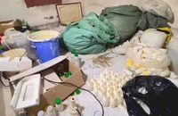 Triệt phá xưởng sản xuất thuốc bảo vệ thực vật giả ở An Giang