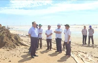 Nguy cơ vỡ bờ bao ngăn triều, Trà Vinh công bố tình huống khẩn cấp sạt lở Cồn Nhàn