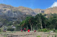 Huy động máy bay không người lái tham gia chữa cháy rừng trên núi Tô 