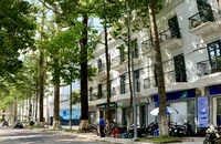 An Giang và nhiều tỉnh miền Tây rà soát dự án liên quan Công ty Cây xanh Công Minh