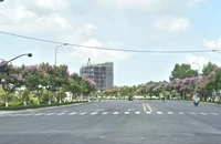 Công ty Cây xanh Công Minh trúng 4 gói thầu tại Vĩnh Long
