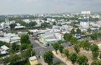 Công ty Cây xanh Công Minh trúng thầu hàng chục tỉ đồng tại Đồng Tháp