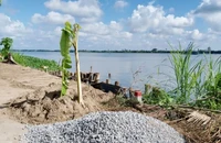 Lo sạt lở, Đồng Tháp kiến nghị không nâng công suất khai thác mỏ cát làm cao tốc