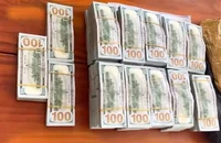 Mật phục bắt quả tang người đàn ông vận chuyển trái phép hơn 530 ngàn USD qua biên giới