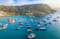 Kiên Giang: Phát triển nghề nuôi biển theo hướng công nghiệp, hiện đại và bền vững