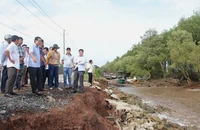 Bạc Liêu công bố tình huống khẩn cấp sạt lở đê biển Đông
