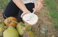 Trà Vinh tổ chức Festival 100 năm Dừa sáp và Tuần lễ Vu lan thắng hội