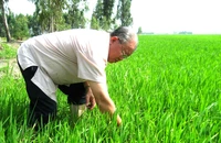 Giáo sư Võ Tòng Xuân - người làm gì cũng nghĩ đến lợi ích của nông dân