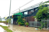 TP Cần Thơ: Chưa đầy 1km, phát hiện 3 công trình trái phép trên đất lúa