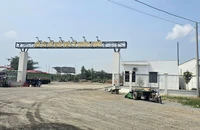 Đồng Tháp: Chuyển công an điều tra 1 công ty cho thuê đất sai quy định còn trốn thuế