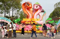 Ấn tượng tượng cặp rắn quấn khăn rằn, đội nón lá tại Đường hoa Xuân ở Đồng Tháp