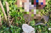 Nghi án người đàn ông đạp xe đi giao thịt heo bị sát hại, cướp tài sản