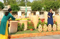 Tuần lễ văn hoá, thể thao và du lịch tỉnh Vĩnh Long có gì?