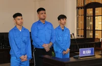 Tổ chức sử dụng ma túy rồi lôi kéo cả trẻ em, 3 thanh niên chia nhau 29 năm tù