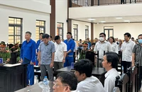 Tuyên án 14 bị cáo vụ xây kè chống sạt lở, gây thiệt hại hơn 12,6 tỉ đồng ở An Giang 