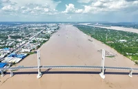 Phó Thủ tướng Trần Hồng Hà kiểm tra cầu Rạch Miễu 2