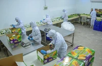 Đồng Tháp: Nông nghiệp xanh làm trụ đỡ, công nghiệp tăng tốc dẫn dắt tăng trưởng