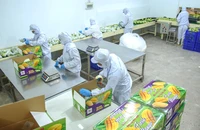 Đồng Tháp đặt mục tiêu tăng trưởng cao giai đoạn 2026–2030, tăng cường phòng chống tham nhũng 
