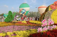 Du lịch Đồng Tháp sôi động dịp Tết Dương lịch 2026, đón hơn 1,4 triệu lượt khách