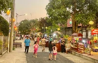 Đồng Tháp: Nhịp sống miệt vườn thành sản phẩm du lịch