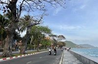 TP.HCM: Sắp có chính sách hỗ trợ học sinh, sinh viên Côn Đảo học tại đất liền