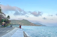 Côn Đảo giữ màu xanh giữa nhịp phát triển
