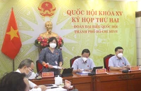ĐBQH TP.HCM lo lắng khi cứ chuyển đổi đất lúa, đất phòng hộ sang bất động sản