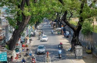 Ảnh: NGUYỆT NHI