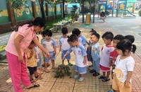 Trẻ mẫu giáo sẽ được hỗ trợ tiền ăn trưa 360.000 đồng/tháng