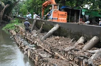 TP.HCM: Gia cố bờ bao, trực 24/24 ứng phó triều cường tại bán đảo Thanh Đa