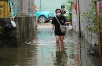 TP.HCM sụt lún đến 1m sau 35 năm, có nguy cơ 'chìm dần'