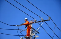 TP.HCM kiến nghị ưu tiên cung cấp điện, hạn chế cắt giảm vào cao điểm tối