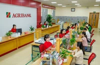 Hiện thực hóa Thông tư 02/2023/TT-NHNN, tích cực hỗ trợ khách hàng vượt qua khó khăn
