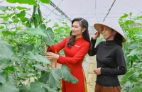 Agribank và những giải pháp đưa nghị quyết về tam nông vào cuộc sống