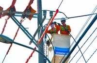 Các tỉnh phía Nam cùng đồng hành tiết kiệm điện